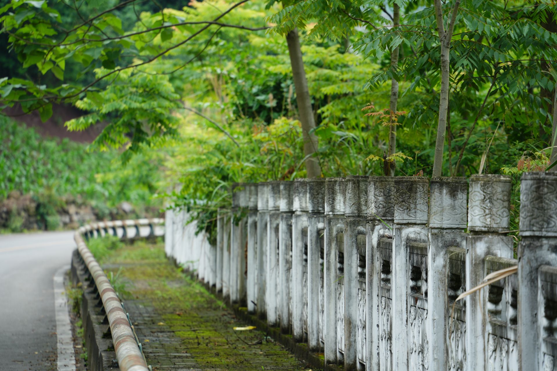 图7 盘山公路